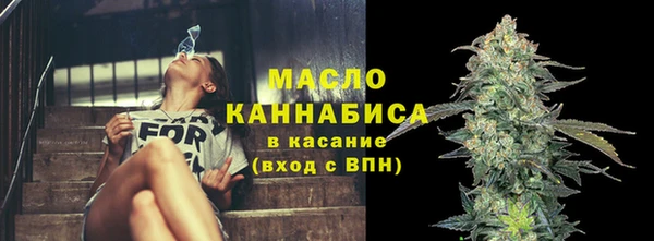 индика Протвино