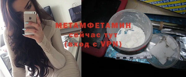 шишки Каменногорск