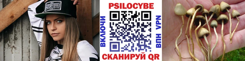 Псилоцибиновые грибы прущие грибы Беломорск